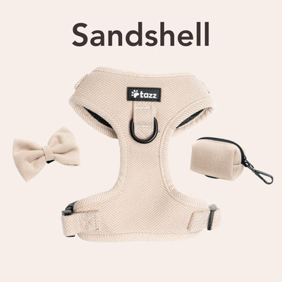 Sandshell
