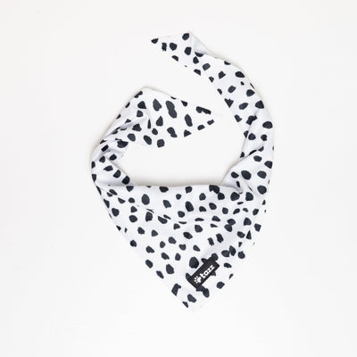 Hundbandana - Tazz