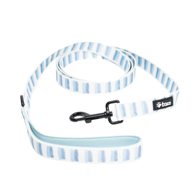 vitt hundkoppel med ljusblå streck