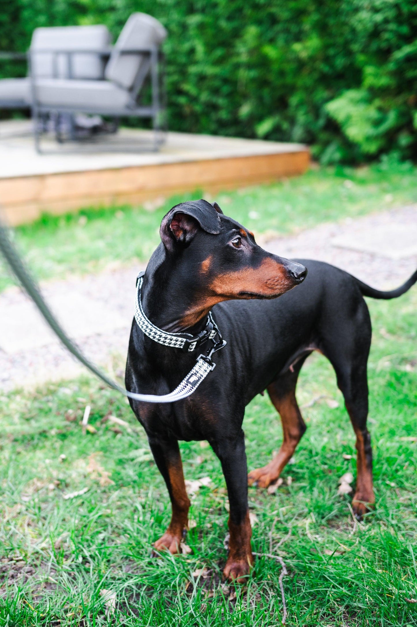 Collar - la Pepita