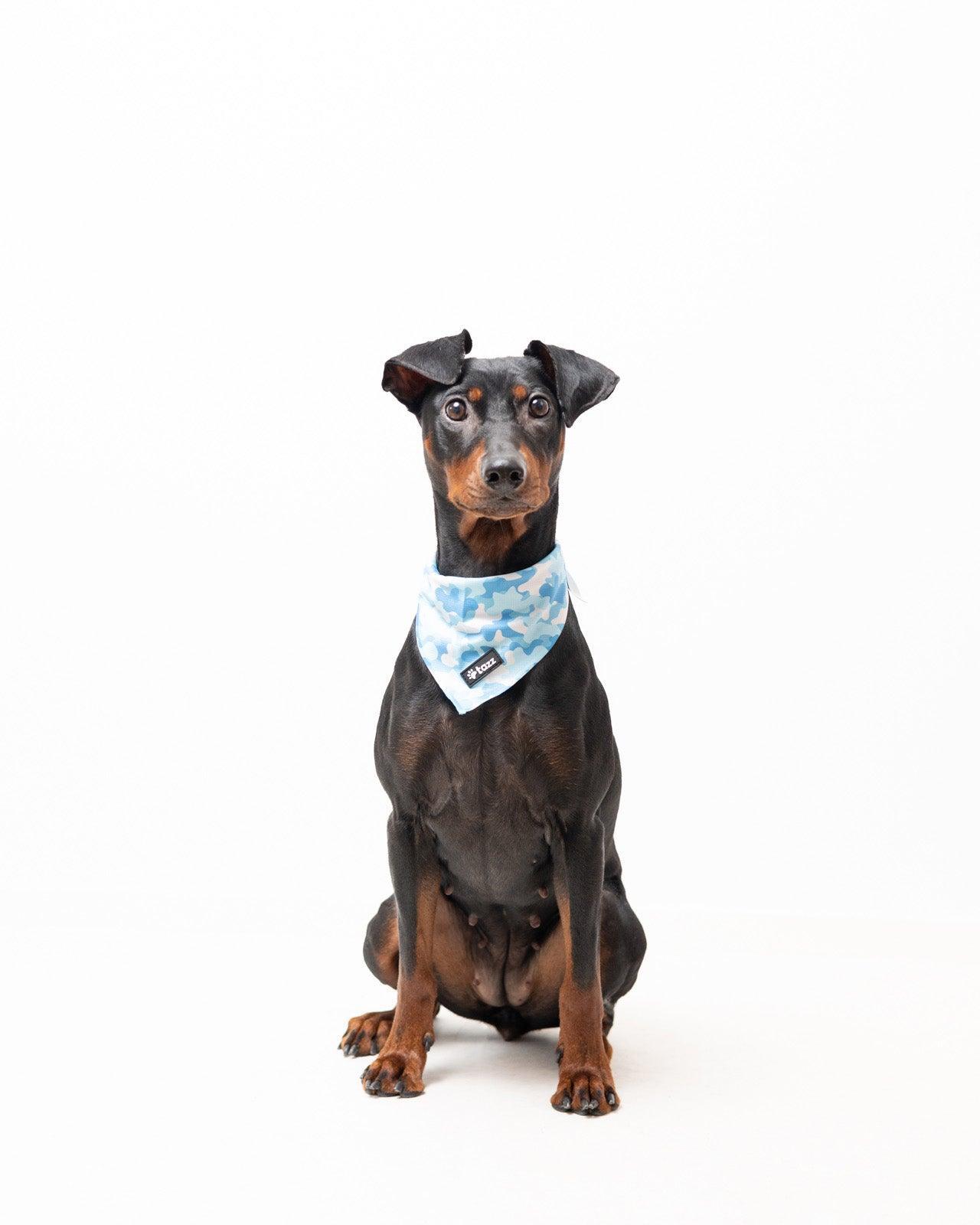 Bandana - Blue Camo - Tazz