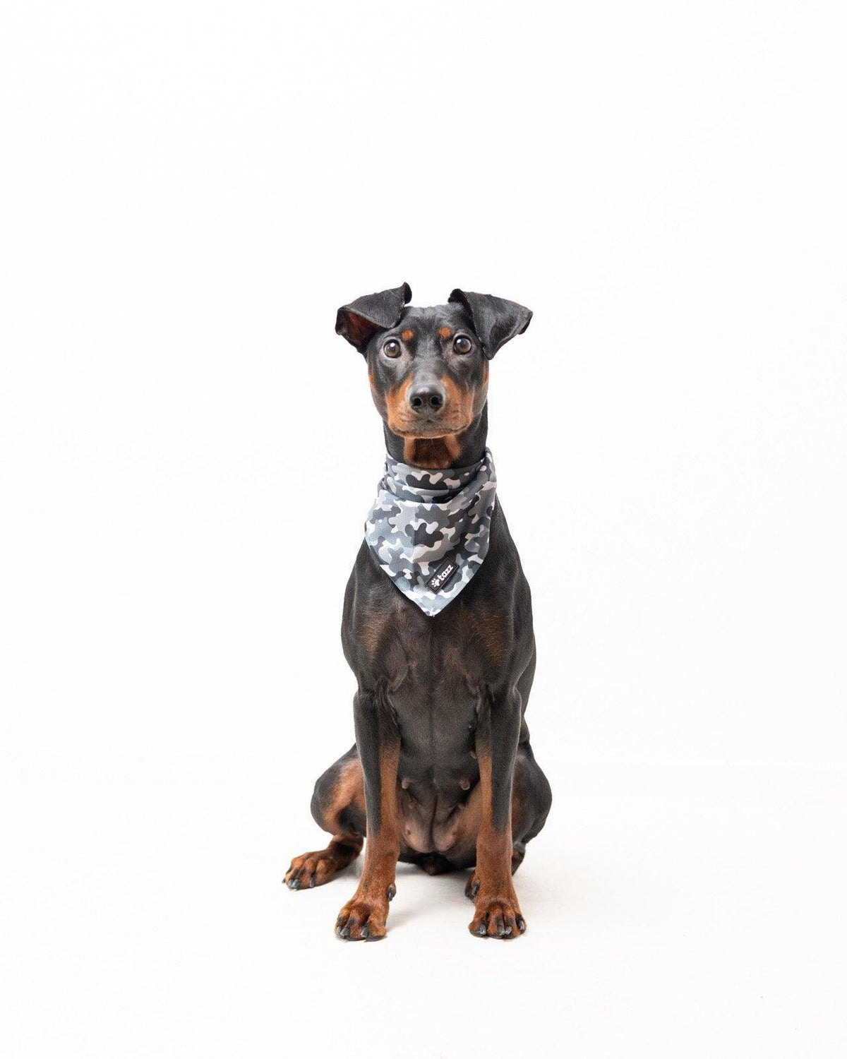 Bandana - Grey Camo - Tazz