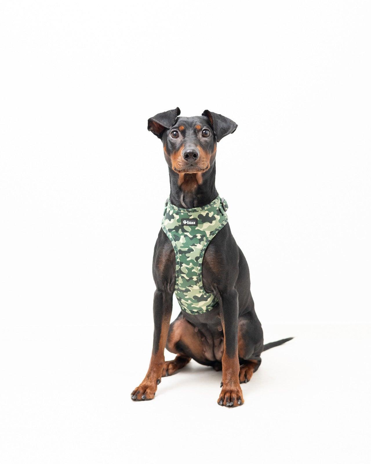 Sele - Green Camo - Tazz