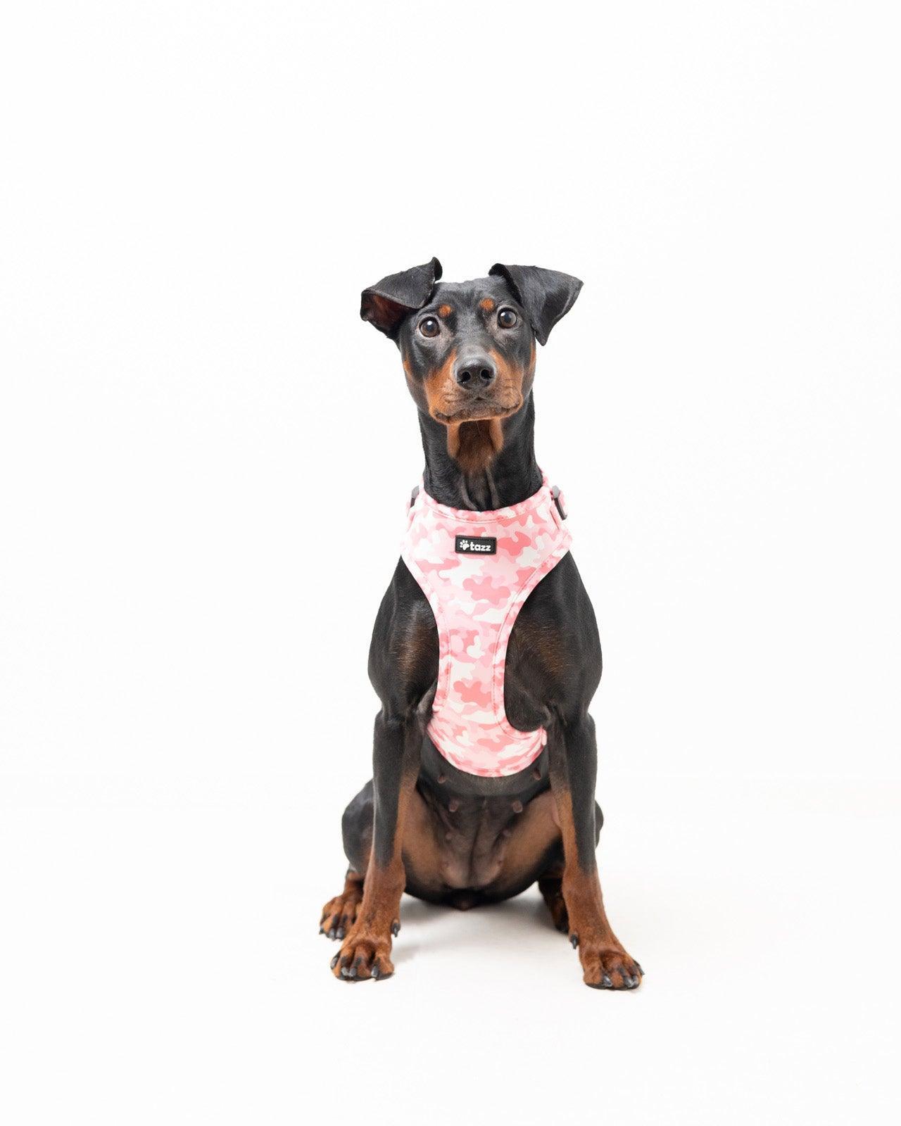 Sele - Pink Camo - Tazz