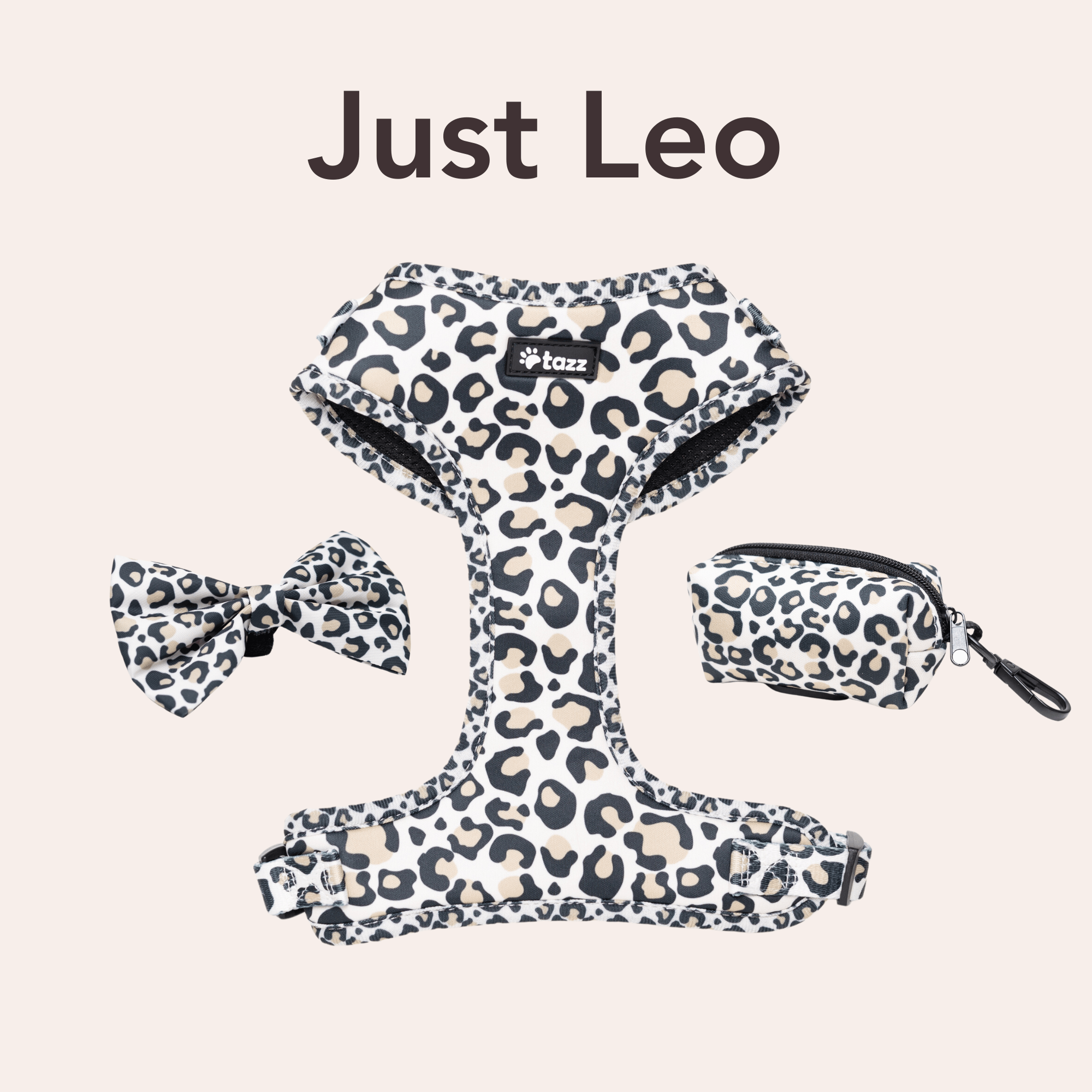 Just Leo - Tazz