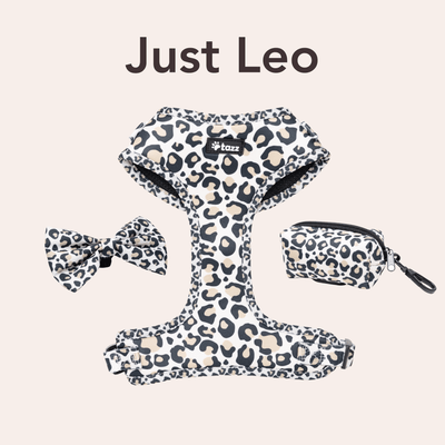 Just Leo - Tazz