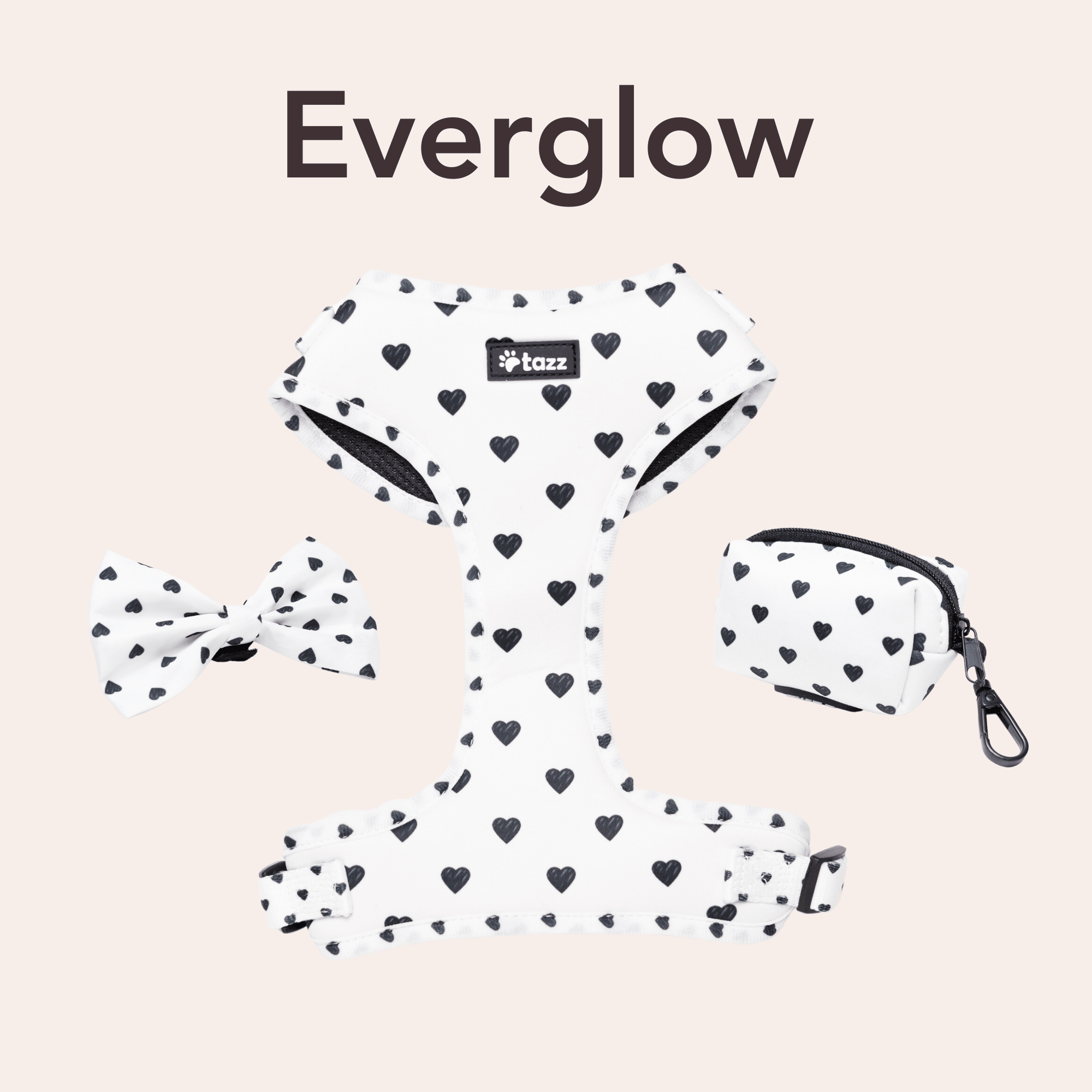 Everglow - Tazz