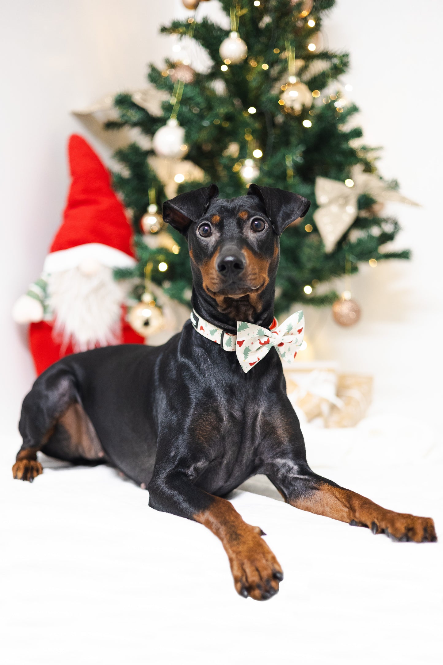 Fluga - Christmas Time