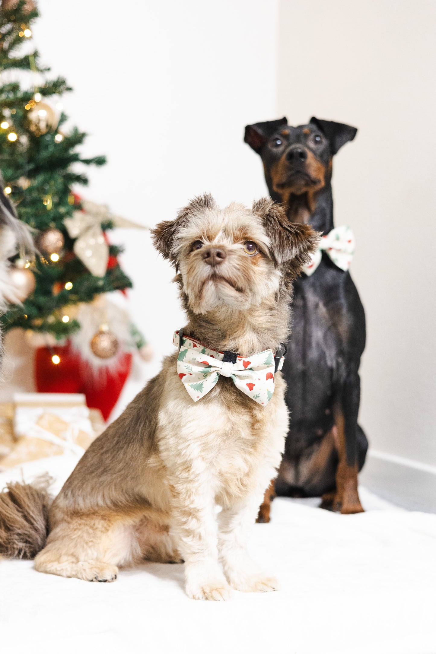 Fluga - Christmas Time