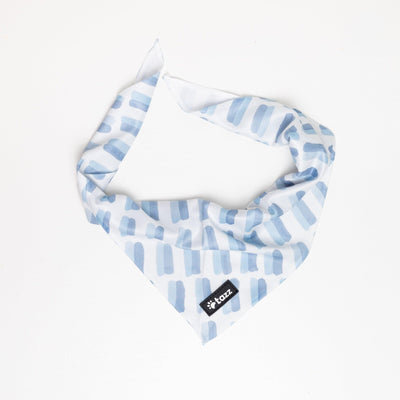 Bandana - A Sky Full Of Lines - Tazz