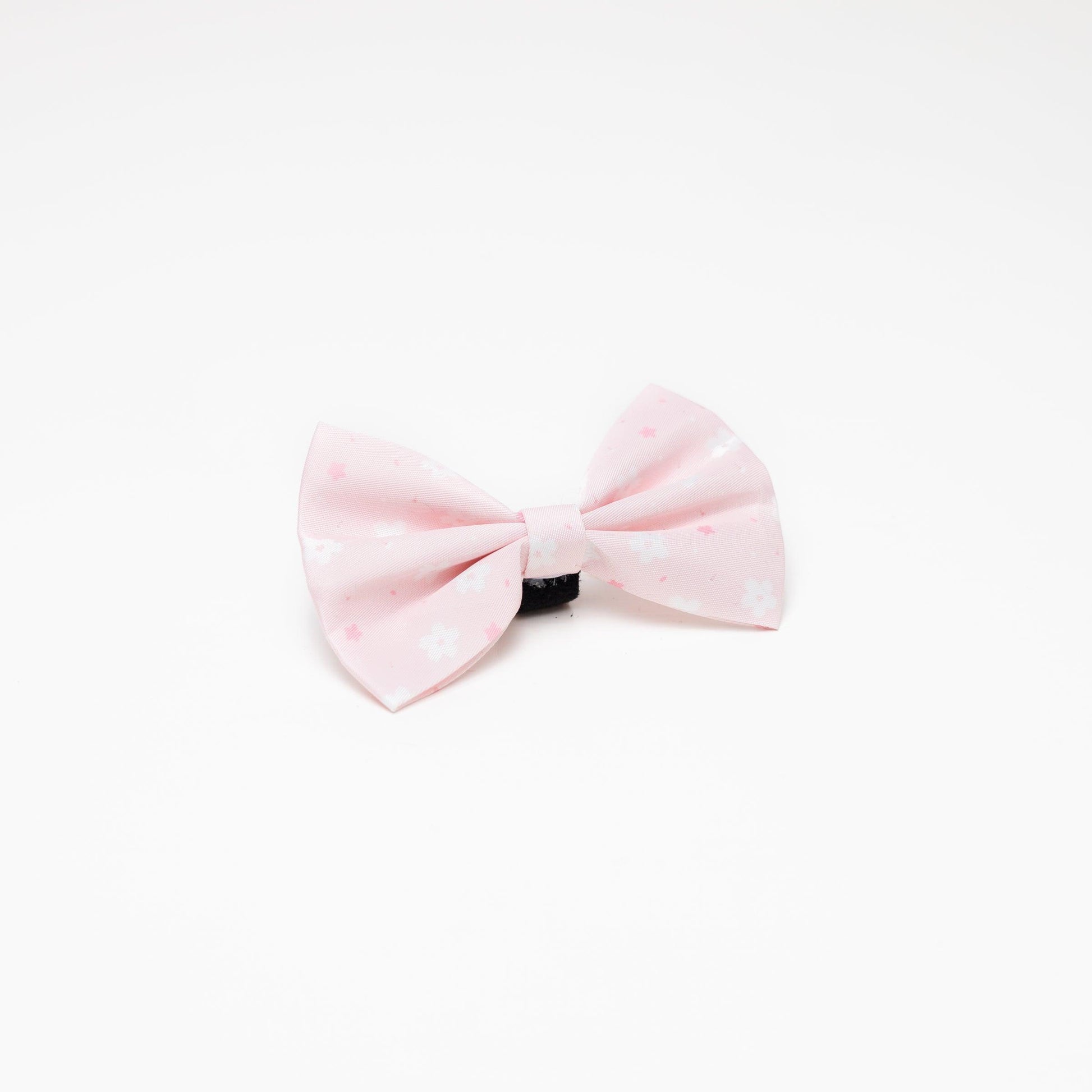 Fluga - Pink Flower - Tazz