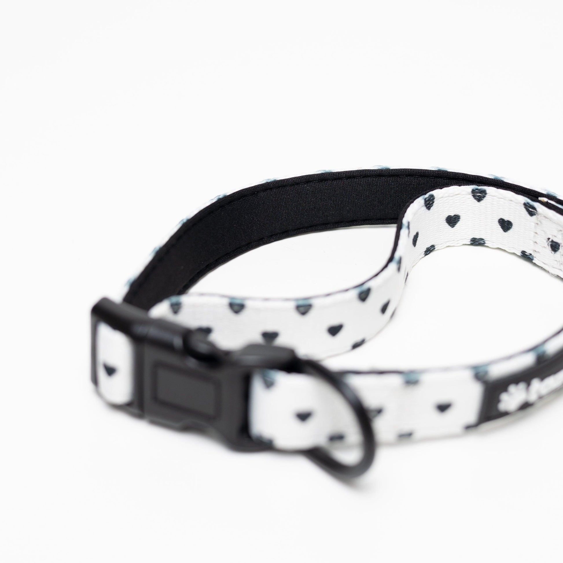 Halsband - Everglow - Tazz