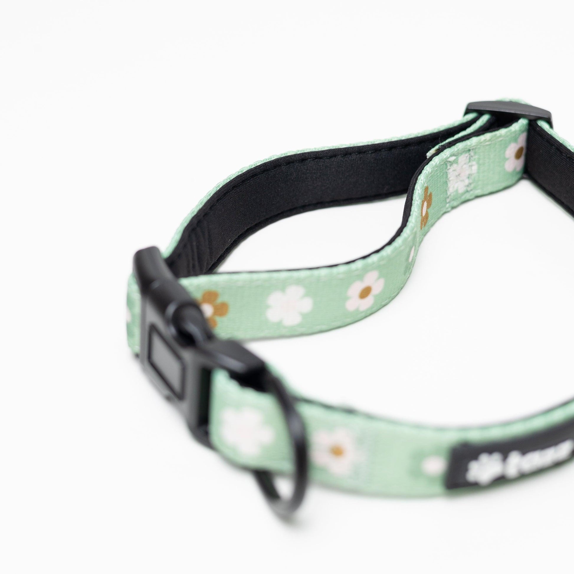 Halsband - Flower Power - Tazz