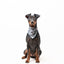 Bandana - Grey Camo - Tazz