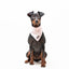 Bandana - Pink Flower - Tazz
