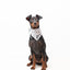 Bandana - Spots on Run - Tazz