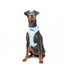 Sele - Blue Camo - Tazz