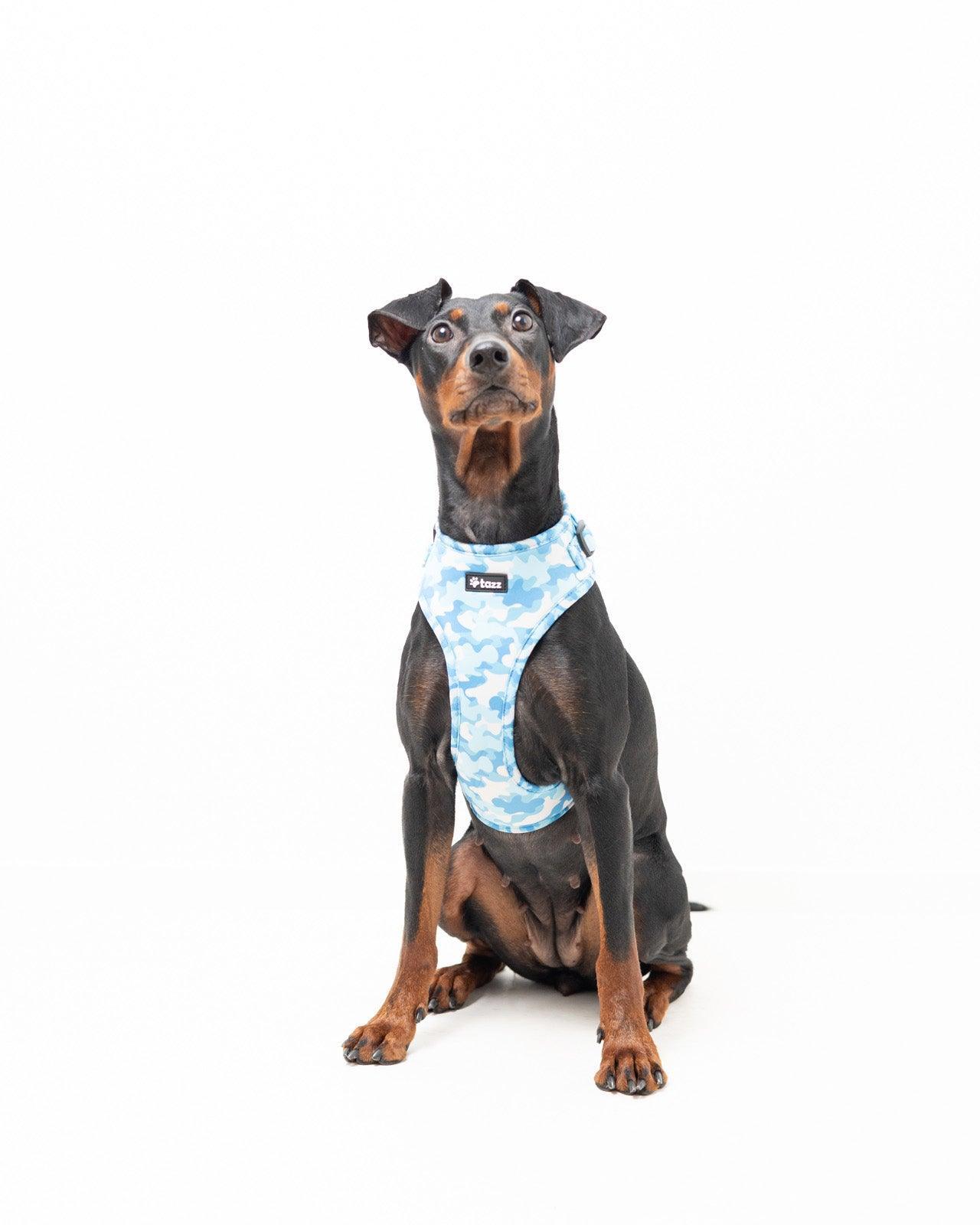 Sele - Blue Camo - Tazz