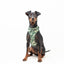 Sele - Green Camo - Tazz
