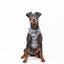 Sele - Grey Camo - Tazz