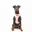 Sele - Pink Camo - Tazz
