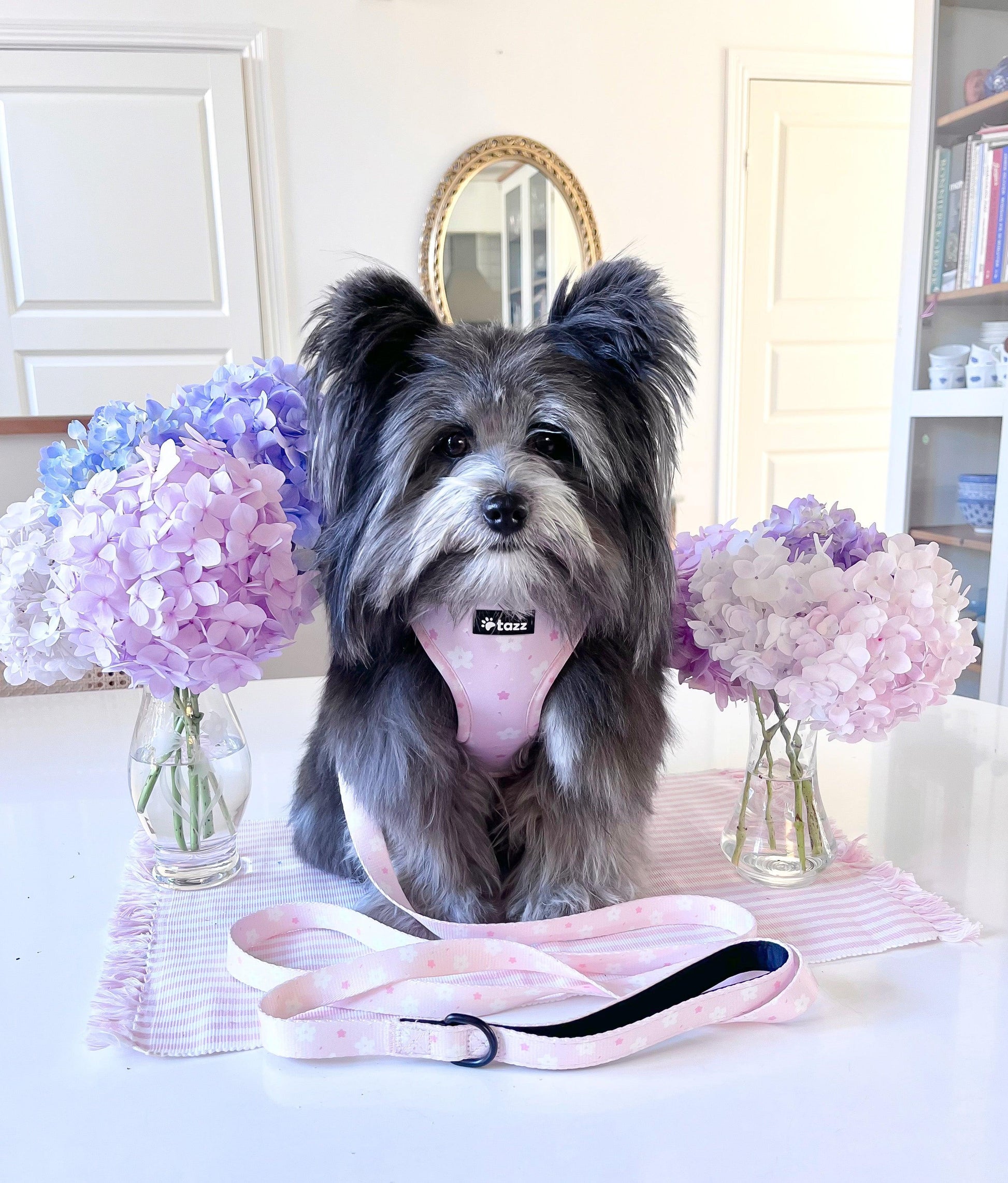 Sele - Pink Flower - Tazz