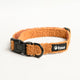 Halsband - Teddy